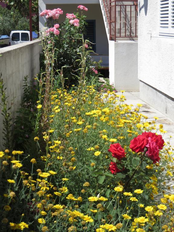 Apartment Cvita Biograd Na Moru Δωμάτιο φωτογραφία