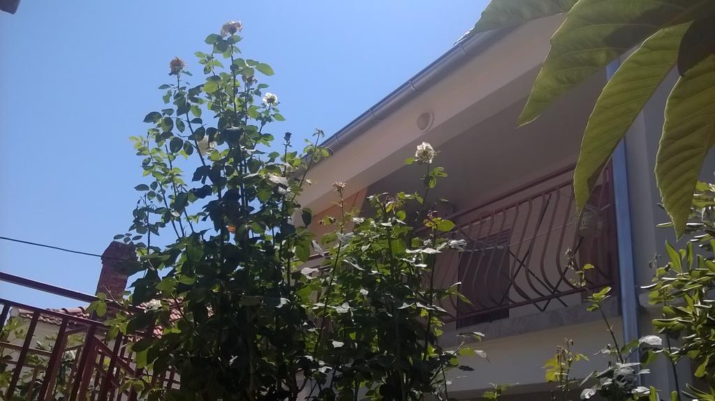 Apartment Cvita Biograd Na Moru Δωμάτιο φωτογραφία